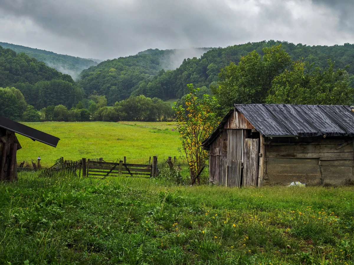 outside/IMG_20250727_143434.webp