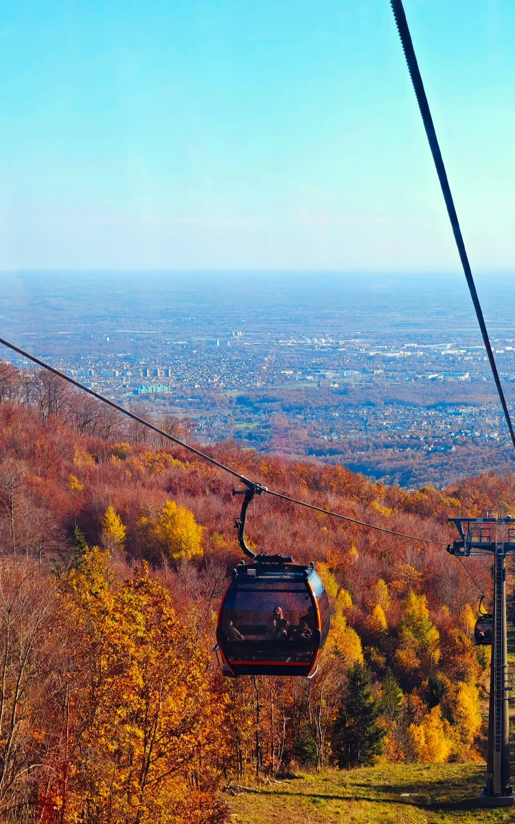 outside/IMG_20251101_132947 (1).webp